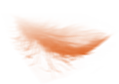 SHIPPING / STORAGE